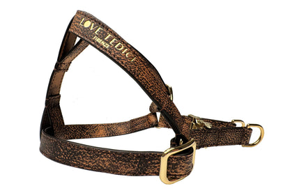 Harness