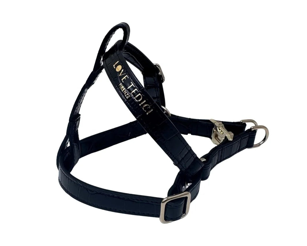 Coco V Leather Harness