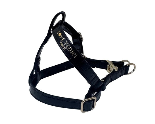 Coco V Leather Harness
