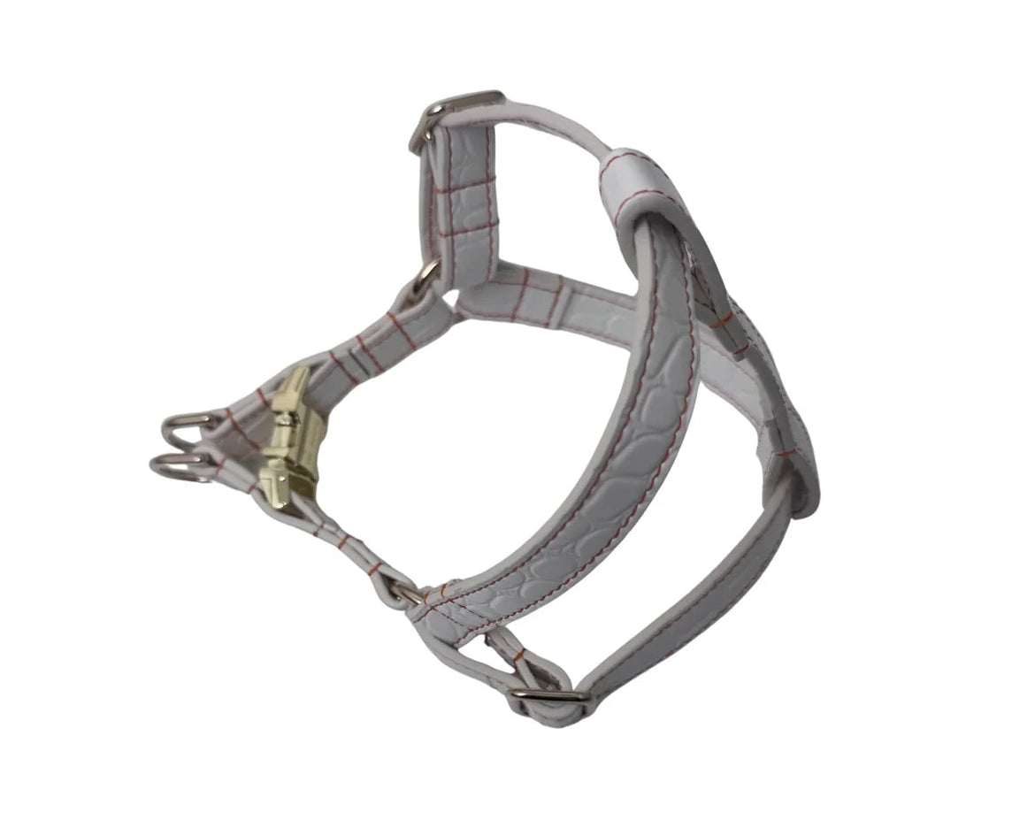 Coco V Leather Harness