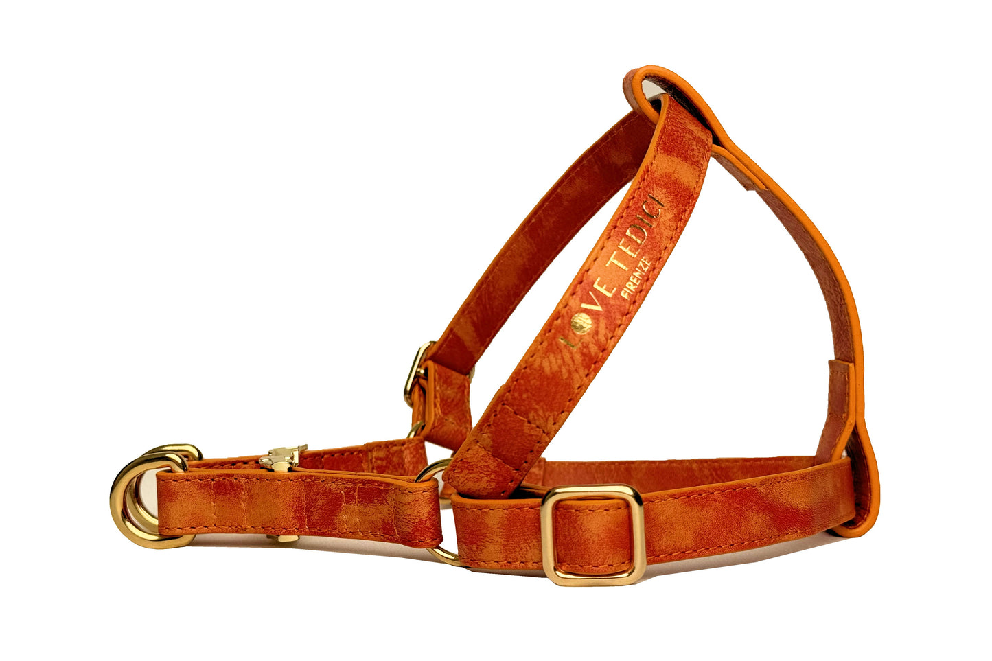 Harness