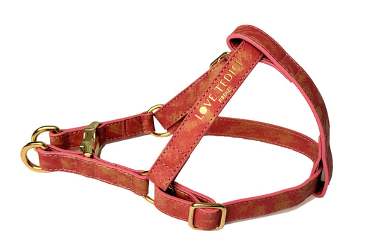 Harness