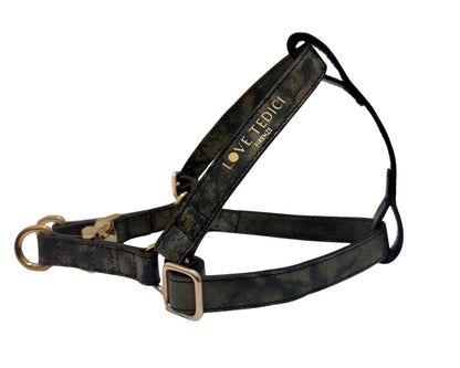 Harness
