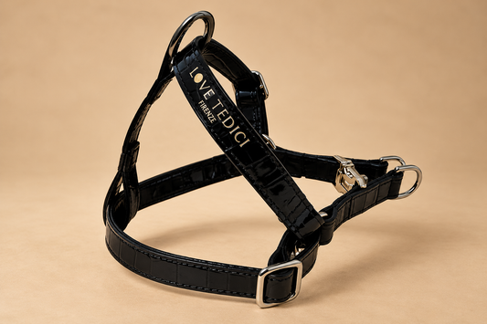Coco V Leather Harness