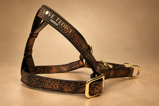 Harness