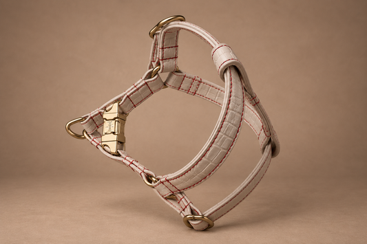Coco V Leather Harness