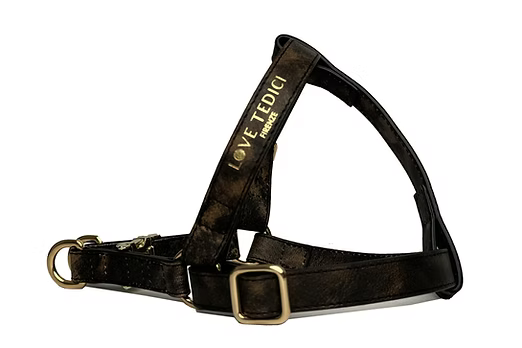 Harness
