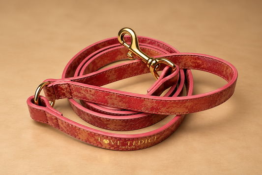 Leash
